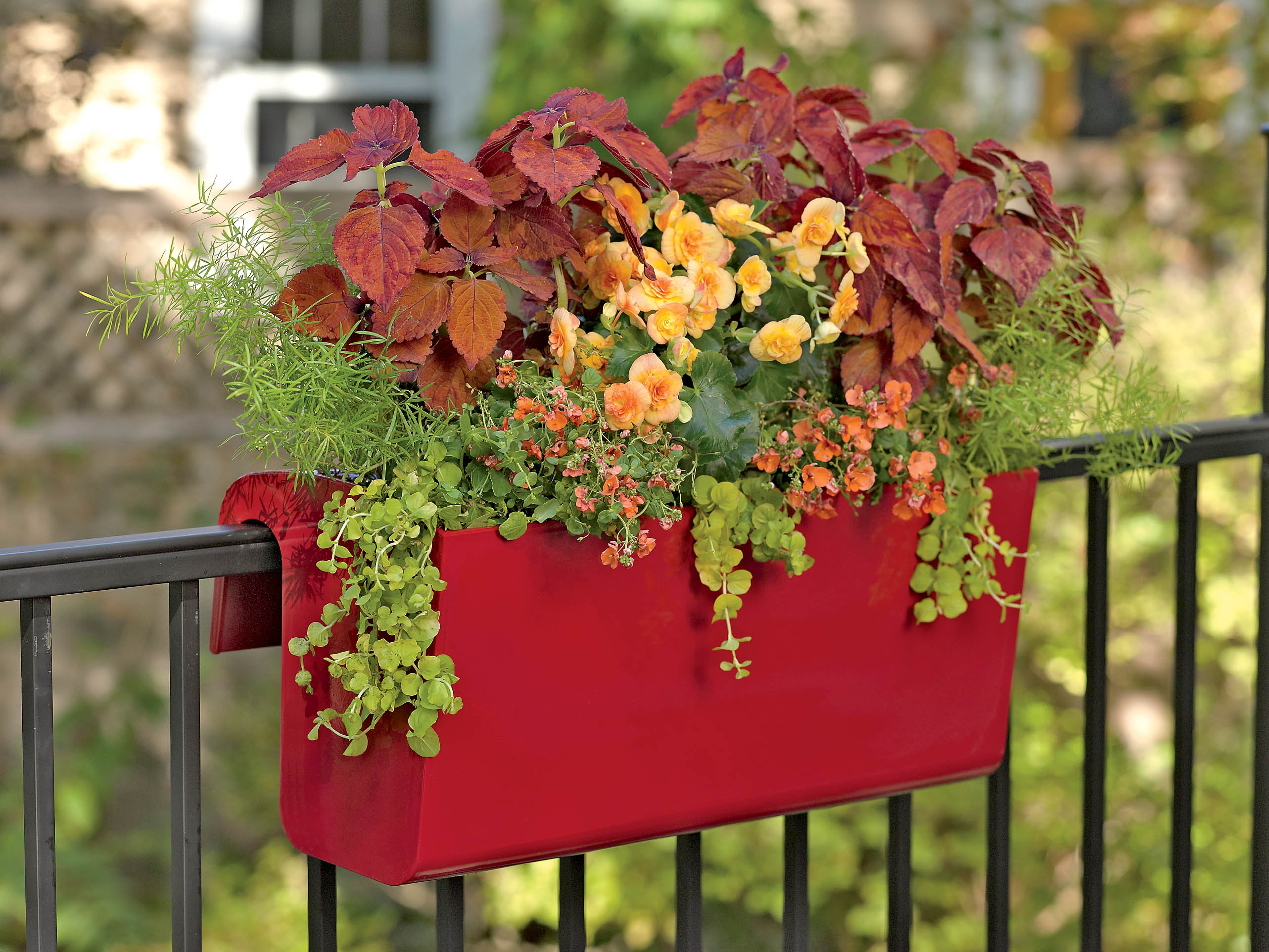 containcer gardening.jpg